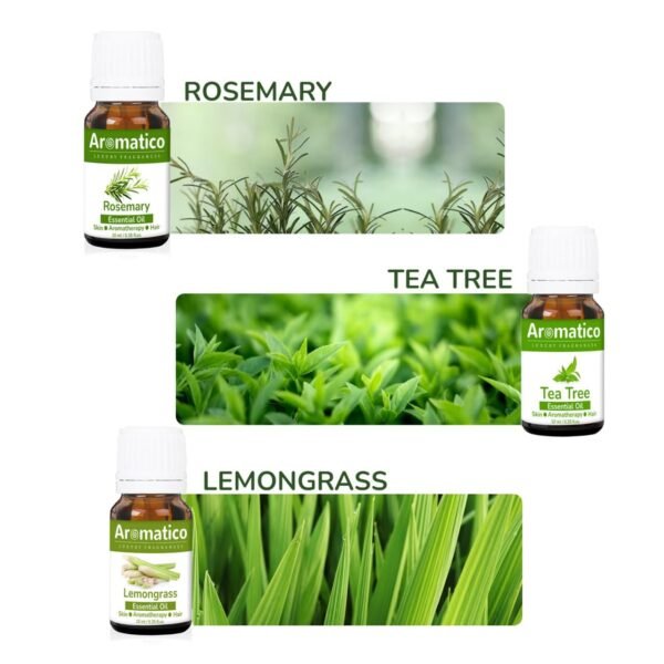 Essential Oils Pack of 10, Rosemary, Tea-Tree, Lemongrass, Lavender, Rose, Eucalyptus, Jasmine, Sandalwood, Orange & Lemon. 100% Pure & Natural. Combo pack 10mlX6 - Image 5
