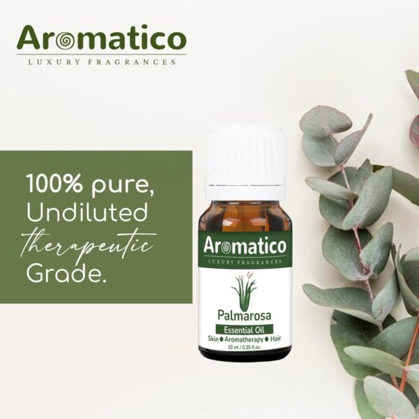 Palmarosa Essential Oil 100% Pure Natural & Undiluted Therapeutic Grade for Dry Skin Care and Aromatherapy - 10ml - Image 4