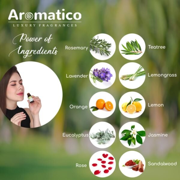 Essential Oils Pack of 10, Rosemary, Tea-Tree, Lemongrass, Lavender, Rose, Eucalyptus, Jasmine, Sandalwood, Orange & Lemon. 100% Pure & Natural. Combo pack 10mlX6 - Image 2