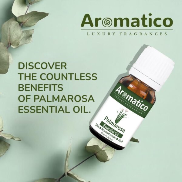 Palmarosa Essential Oil 100% Pure Natural & Undiluted Therapeutic Grade for Dry Skin Care and Aromatherapy - 10ml - Image 2