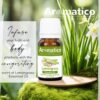 Lemongrass Essential Oil Enhance Skin Brightness, Elevate Hair Luster | Renewing Care for Face, Scalp & Skin. Pure, Natural & Undiluted -10ml - Image 6