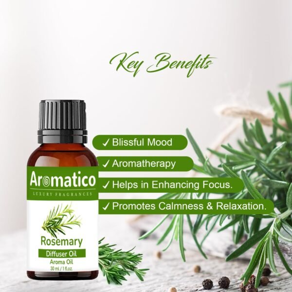 Rosemary Diffuser Oil for Home, Office | Long-Lasting Aroma Fragrance Oil | Natural Pure Therapeutic Grade | 30ML - Image 3