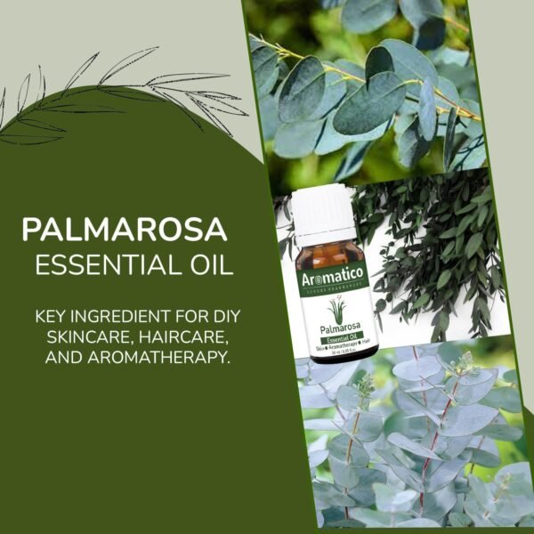 Palmarosa Essential Oil 100% Pure Natural & Undiluted Therapeutic Grade for Dry Skin Care and Aromatherapy - 10ml - Image 5