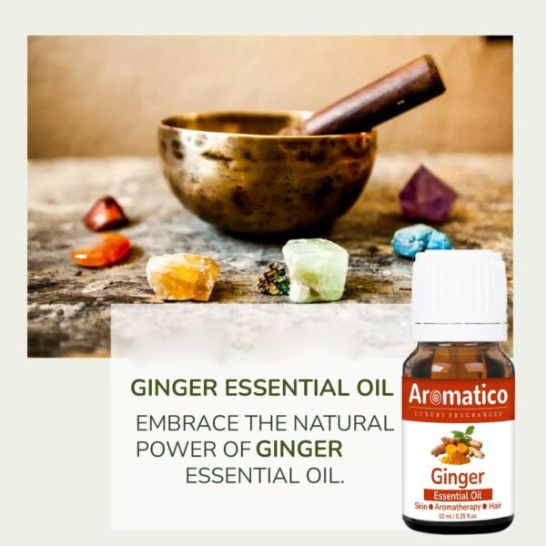 Ginger Essential Oil. Belly and Waist Massage Oil. Stay in Perfect Shape | 100% Pure, Natural & Undiluted Therapeutic Grade | 10ML - Image 5