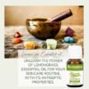 Lemongrass Essential Oil Enhance Skin Brightness, Elevate Hair Luster | Renewing Care for Face, Scalp & Skin. Pure, Natural & Undiluted -10ml - Image 4