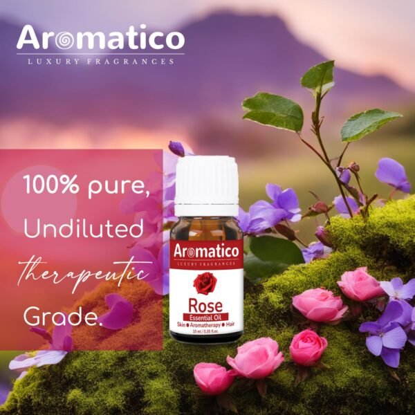 Rose Essential Oil Best for Aromatherapy | Helps in concentration & meditation | Used in Diffusers, Candles, Air Fresheners, Soaps - 10ml - Image 3