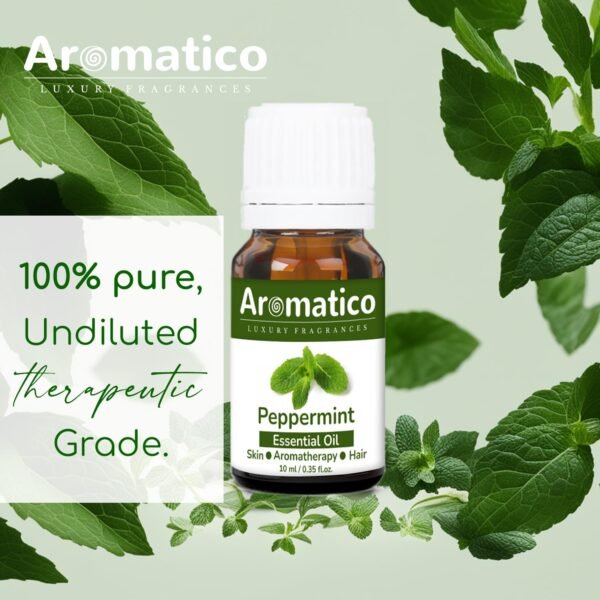 Peppermint Essential Oil for Skin & Hair Care, Scalp, Aromatherapy |100% Pure & Natural Therapeutic Grade, Undiluted - 10ml - Image 4