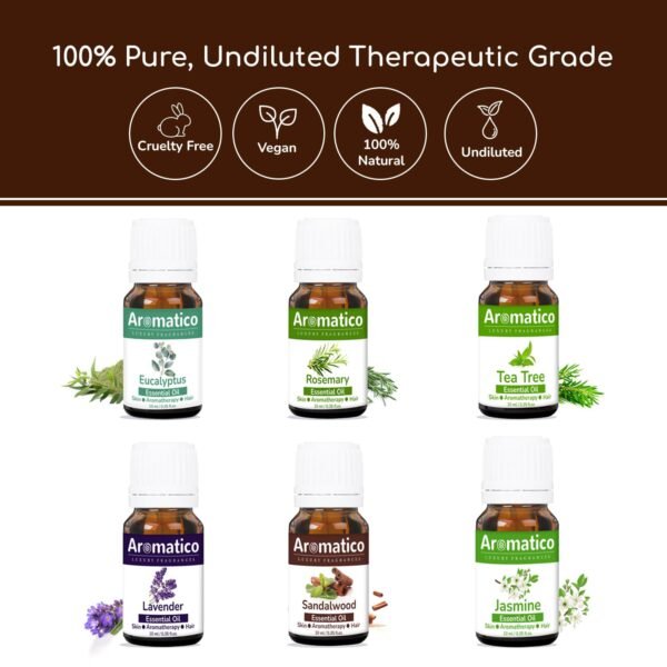 Essential Oils Pack of 6, Rosemary, Tea-Tree, Sandalwood, Lavender, Jasmine & Eucalyptus. Therapeutic Grade, 100% Pure & Natural. Combo pack 10mlX6 - Image 4