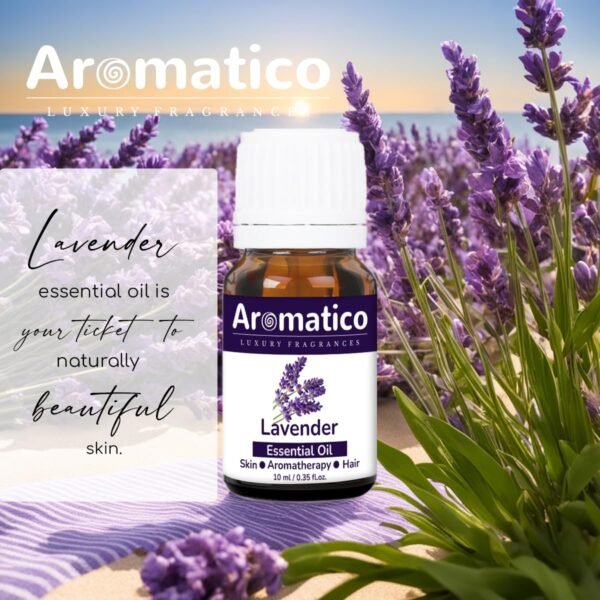 Lavender Essential Oil for Aroma Therapy, Stress Relief & Sleep | Promotes Clear Skin, Strong Hair | Calming & Soothing Care for Face, Scalp & Body - 10ml - Image 5