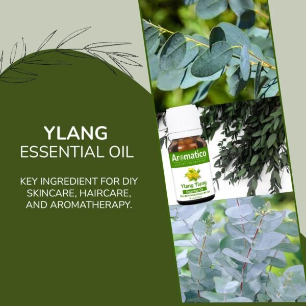 Ylang Ylang Essential Oil – Therapeutic Grade For Skin & Hair Care, Reduce Stress and Anxiety Pure, Natural & Undiluted - 10ML - Image 6