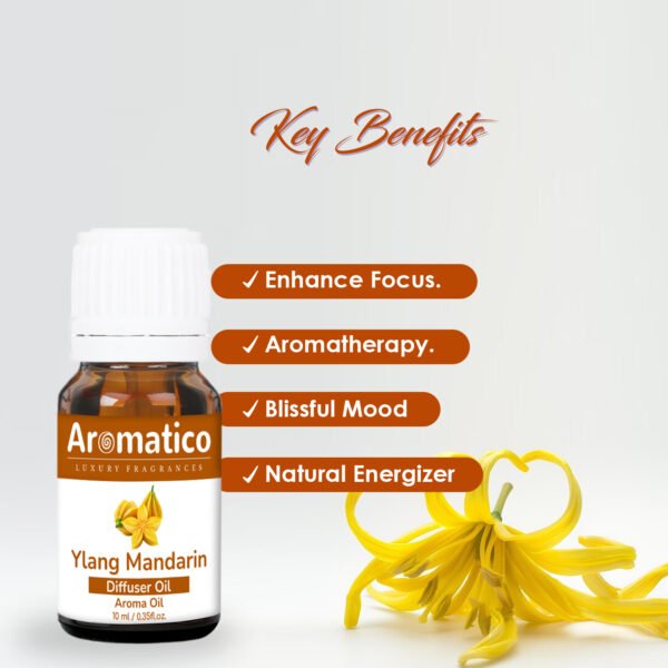 Ylang Mandarin Diffuser Oil Relaxing and Sweet Aroma | Long Lasting Scented Home Fragrance | Natural Essential diffuser Oil Fragrance Sleep & Pure Aromatherapy | 10ML - Image 2