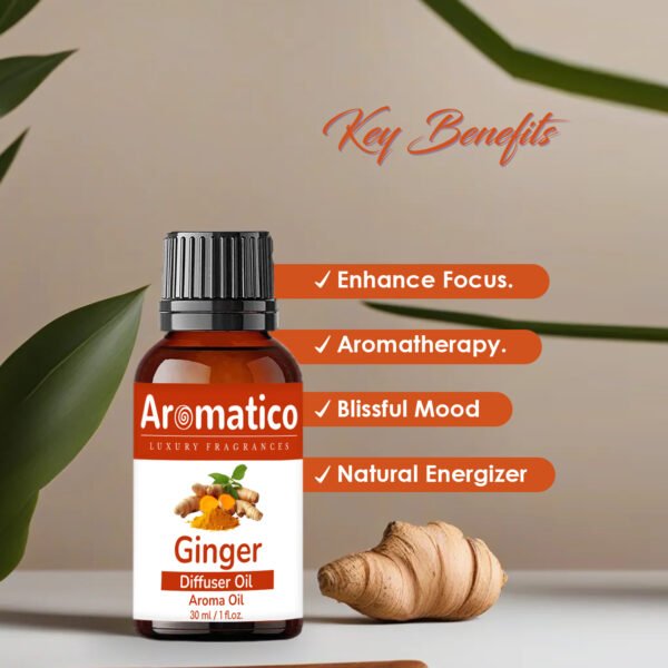 Ginger Diffuser Oil For Relax Calm Mood, Natural Homely Fragrance, Anxiety Free Sleep & Pure Aromatherapy | 30ML - Image 2