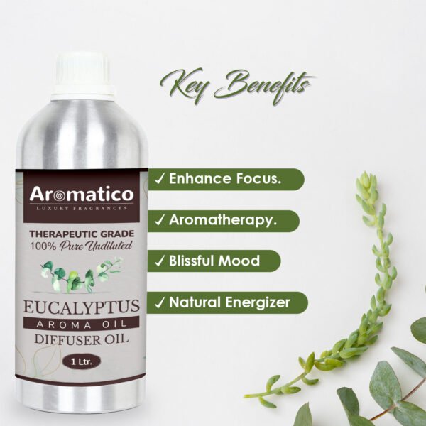 Eucalyptus Diffuser Oil with Strong, Long-Lasting Aroma. Premium Aroma Oil for Homes, Offices & Showrooms. Aromatherapy, Diffusers, Air Purifiers, Vaporizers - 1 Liter (1000 ml) - Image 2