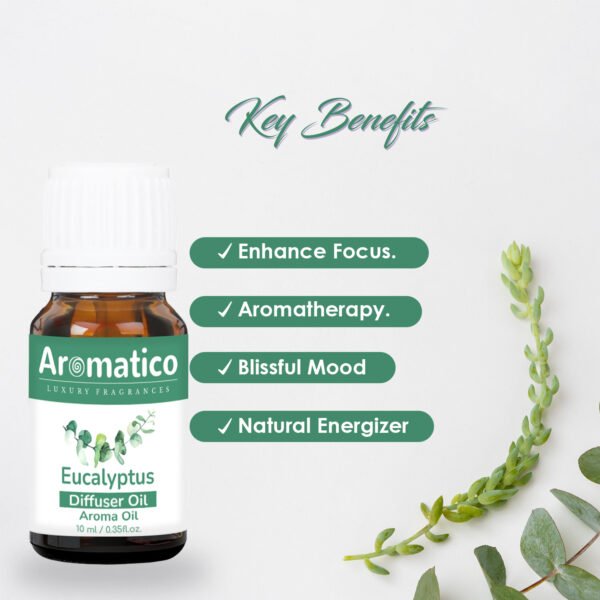 Eucalyptus Diffuser Oil For Humidifier | Aroma Oil For Home Fragrance | Electric Diffuser Oil Fragrance for Aromatherapy | 10ML - Image 2
