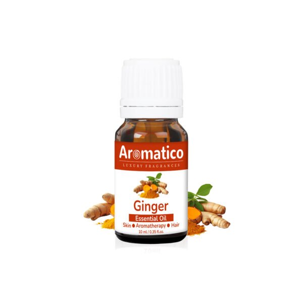 Ginger Essential Oil. Belly and Waist Massage Oil. Stay in Perfect Shape | 100% Pure, Natural & Undiluted Therapeutic Grade | 10ML