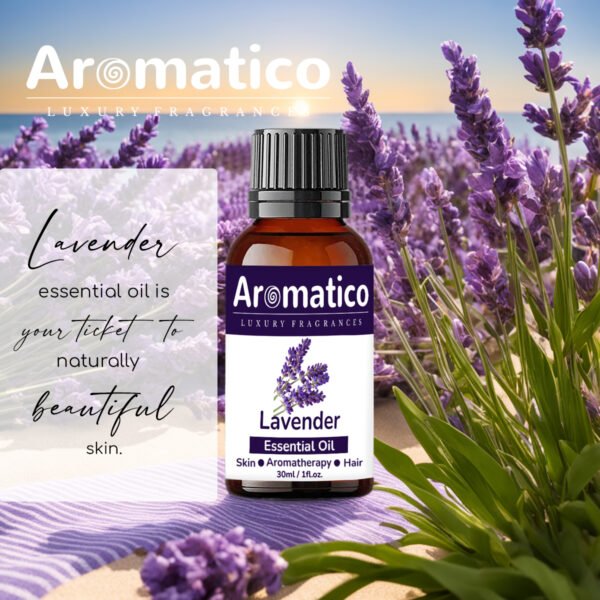 Lavender Essential Oil for Aroma Therapy helps Stress & Sleep | Promotes Clear Skin, Strong Hair | Calming & Soothing Care for Face, Scalp & Body | 30ML - Image 2