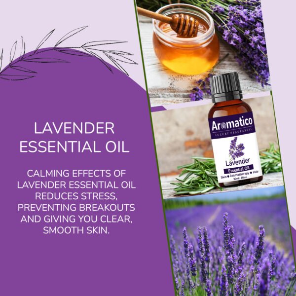 Lavender Essential Oil for Aroma Therapy helps Stress & Sleep | Promotes Clear Skin, Strong Hair | Calming & Soothing Care for Face, Scalp & Body | 30ML - Image 5
