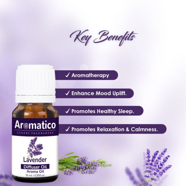 Lavender Diffuser Oil for Long-Lasting Aroma. Premium Home Fragrance Oil for Aromatherapy, Meditation & Concentration - Versatile Use in Diffusers, Air Fresheners - 10ml - Image 2
