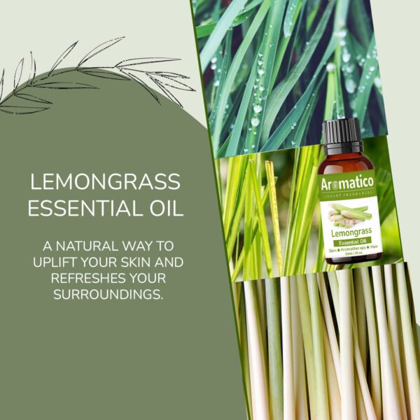 Lemon Grass Essential Oil Enhance Skin Brightness, Elevate Hair Luster | Renewing Care for Face, Scalp & Skin. Pure, Natural & Undiluted | 30ML - Image 5