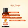 Orange Diffuser Oil for Long-Lasting Fragrance. Premium Aroma Oil for Aromatherapy, Meditation & Concentration. Versatile Use in Diffusers, Air Fresheners - 30ml - Image 2