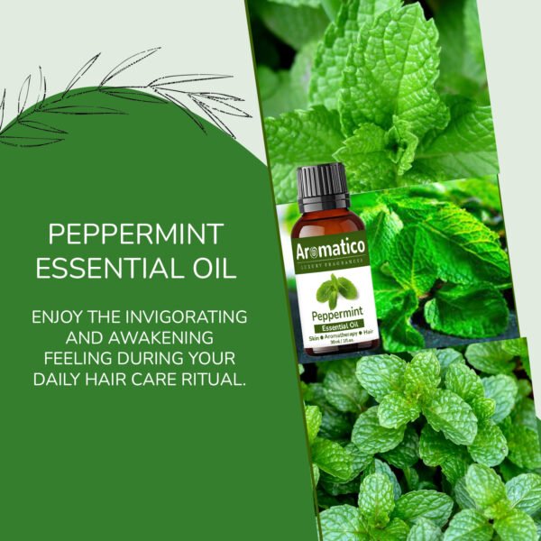 Peppermint Essential Oil for Skin & Hair Care, Scalp, Aromatherapy |100% Pure & Natural Therapeutic Grade, Undiluted - 30ml - Image 5
