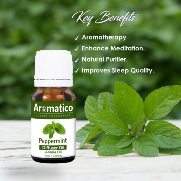 Peppermint Diffuser Oil for Long-Lasting - Premium Home Fragrance Oil for Aromatherapy, Meditation & Concentration - Versatile Use in Diffusers, Air Fresheners - 10ml - Image 2