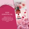 Rose Essential Oil Best for Aromatherapy | Helps in concentration & meditation | Used in Diffusers, Candles, Air Fresheners, Soaps - 30ML - Image 6