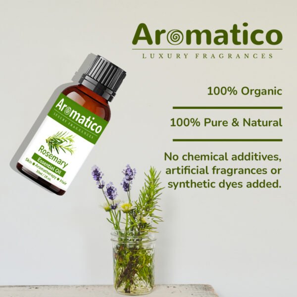 Rosemary Essential Oil. Helps Hair Growth, Controls Hair fall & Dandruff. Aroma Therapy, Stress Relief, Skin & Sleep. 100% Pure & Natural - 30ml - Image 3