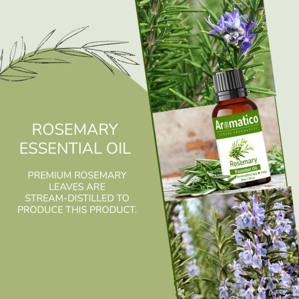 Rosemary Essential Oil. Helps Hair Growth, Controls Hair fall & Dandruff. Aroma Therapy, Stress Relief, Skin & Sleep. 100% Pure & Natural - 30ml - Image 5