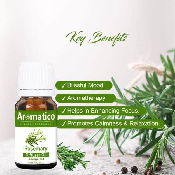 Rosemary Diffuser Oil for Home, Office | Long-Lasting Aroma Fragrance Oil | Natural Pure Therapeutic Grade | 10ML - Image 2