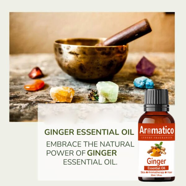 Ginger Essential Oil Relax Massage Oil, Belly and Waist Stay Perfect Shape 100% Pure, Natural & Undiluted Therapeutic Grade | 30ML - Image 4