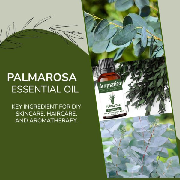 Palmarosa Essential Oil 100% Pure Natural & Undiluted Therapeutic Grade for Dry Skin Care and Aromatherapy - 30ml - Image 5