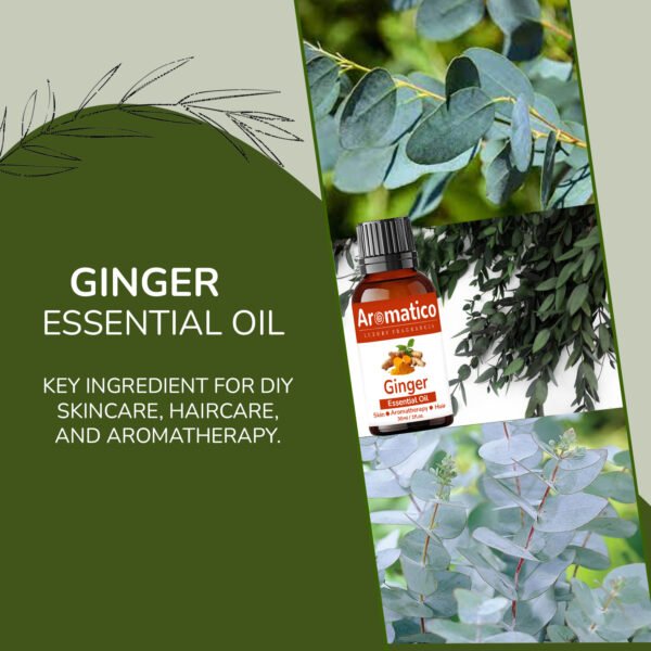 Ginger Essential Oil Relax Massage Oil, Belly and Waist Stay Perfect Shape 100% Pure, Natural & Undiluted Therapeutic Grade | 30ML - Image 5