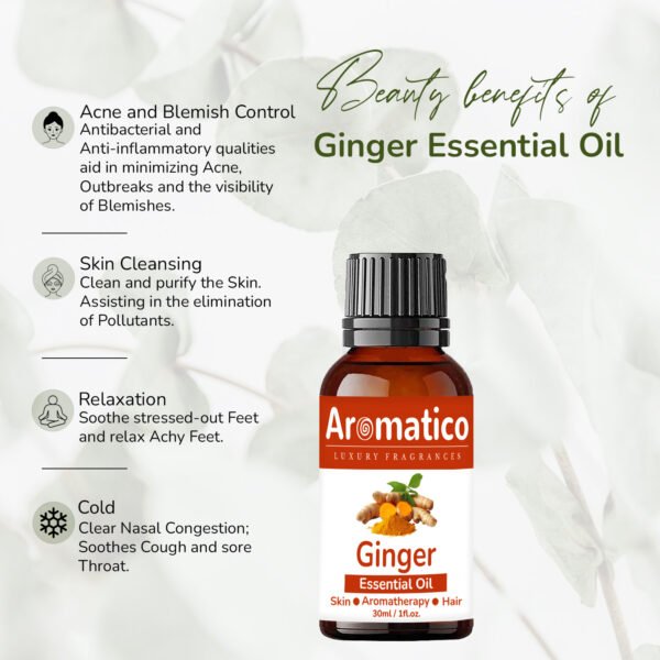 Ginger Essential Oil Relax Massage Oil, Belly and Waist Stay Perfect Shape 100% Pure, Natural & Undiluted Therapeutic Grade | 30ML - Image 7